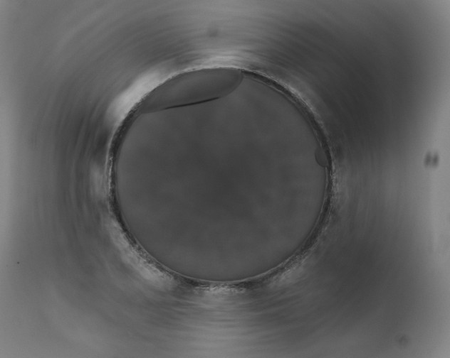 X0000111521077200908111157