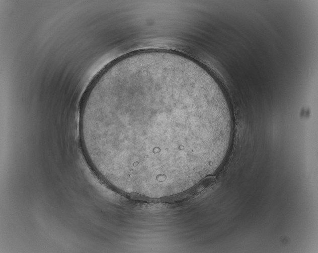 X0000111521079200908111157