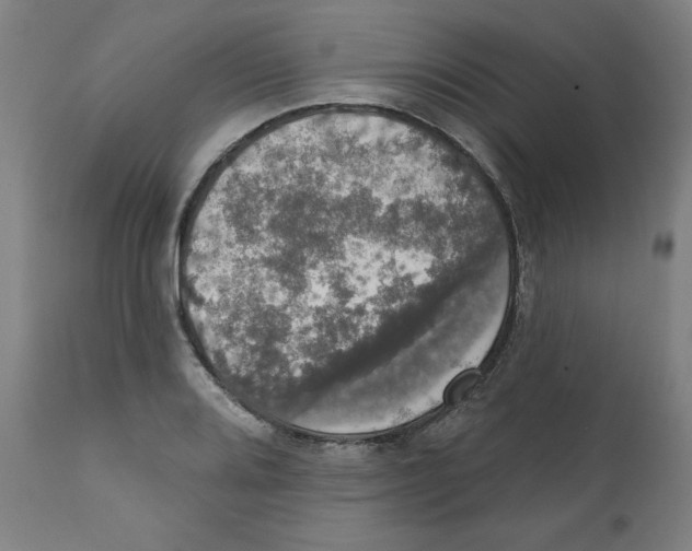 X0000111521080200908111157