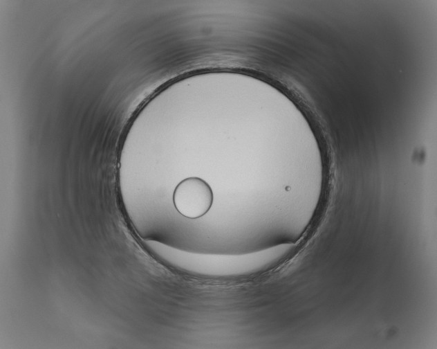 X0000111521081200908111157