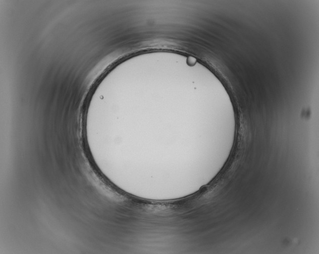 X0000111521082200908111157