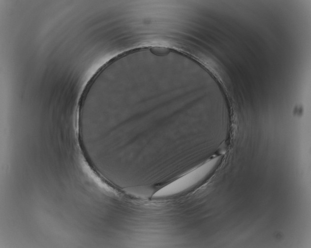 X0000111521084200908111157