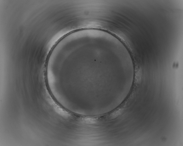 X0000111521086200908111157