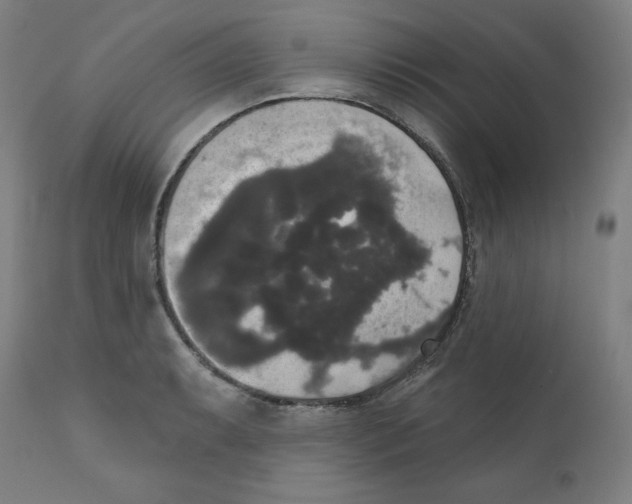 X0000111521087200908111157