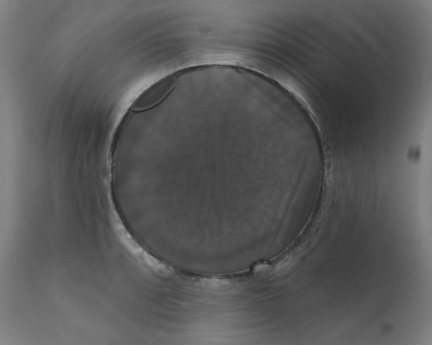 X0000111521088200908111157