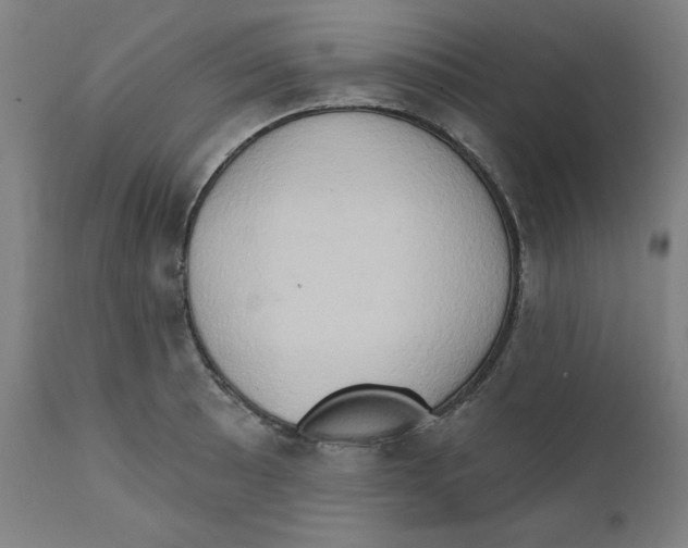 X0000111521089200908111157