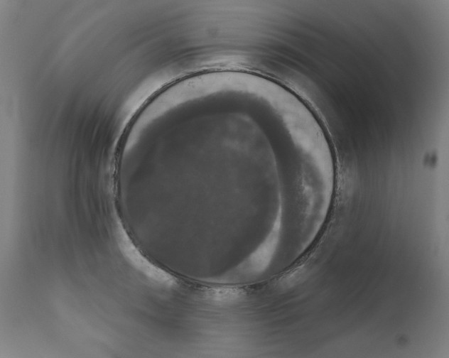 X0000111521090200908111156