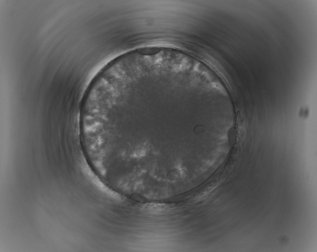 X0000111521092200908111156