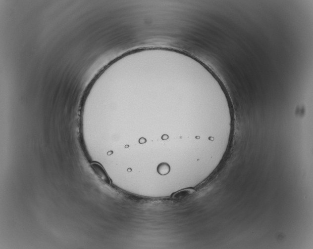 X0000111521093200908111156