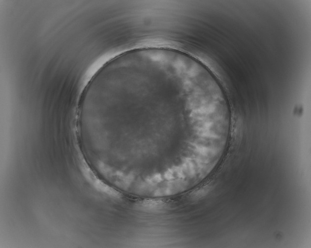 X0000111521094200908111156