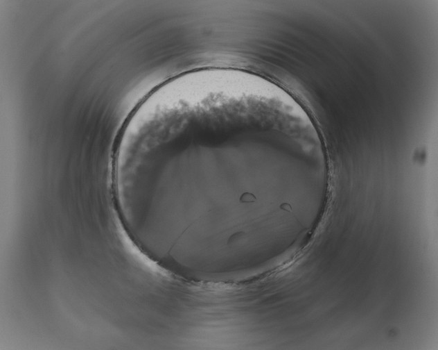 X0000111521095200908111156