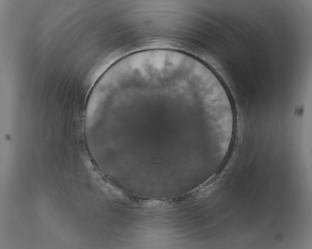 X0000111521097200908111156