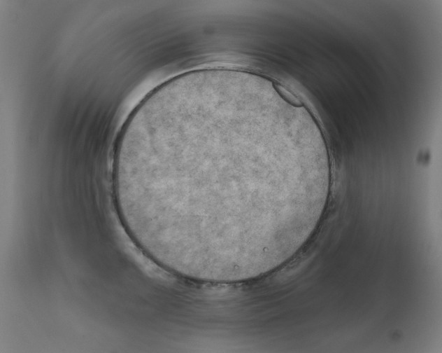 X0000111521099200908111156