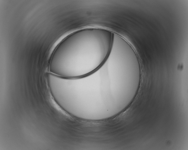 X0000111521100200908111156