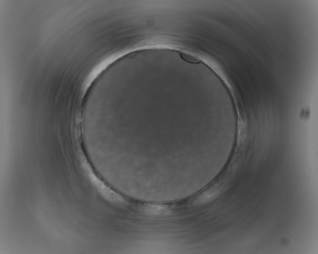 X0000111521101200908111156