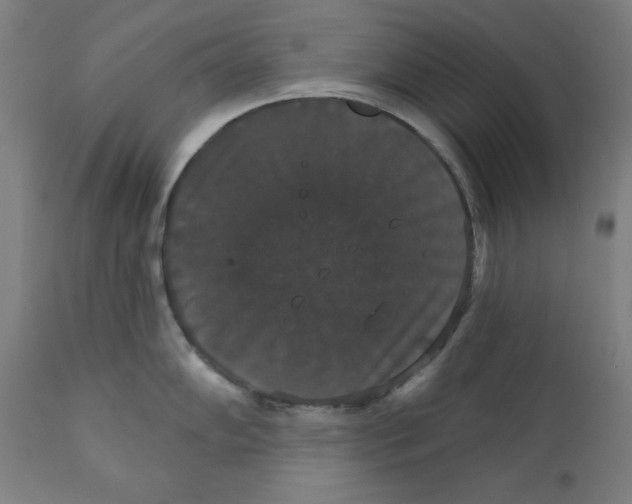 X0000111521102200908111156