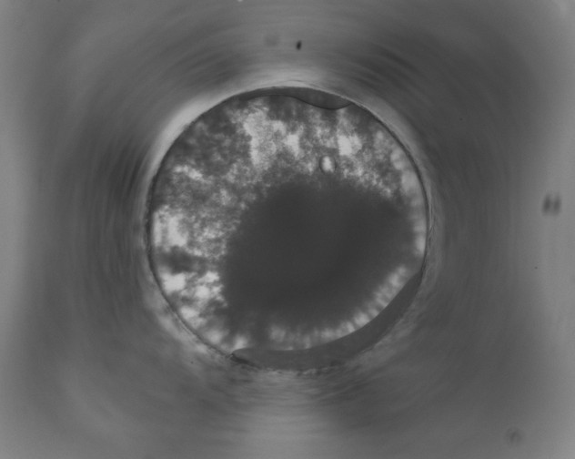 X0000111521104200908111156
