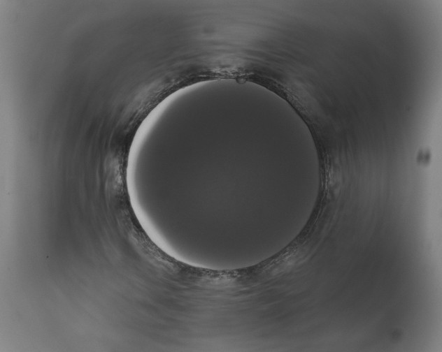 X0000111521106200908111155