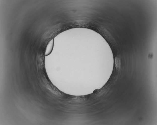 X0000111521107200908111156