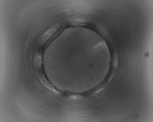 X0000111521108200908111156