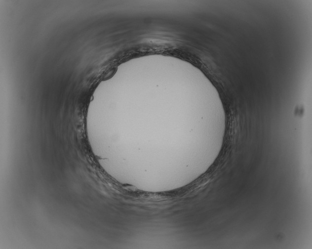 X0000111521109200908111156