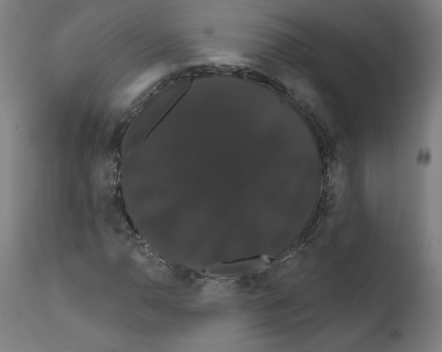 X0000111521110200908111156