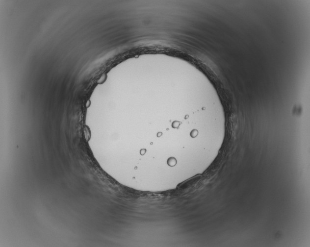 X0000111521111200908111156