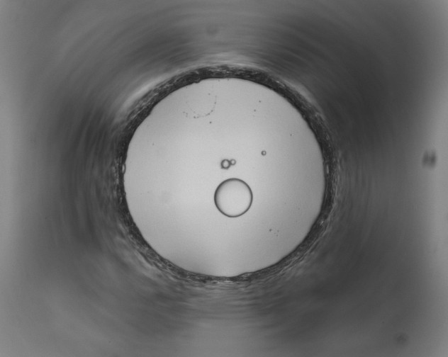 X0000111521112200908111156