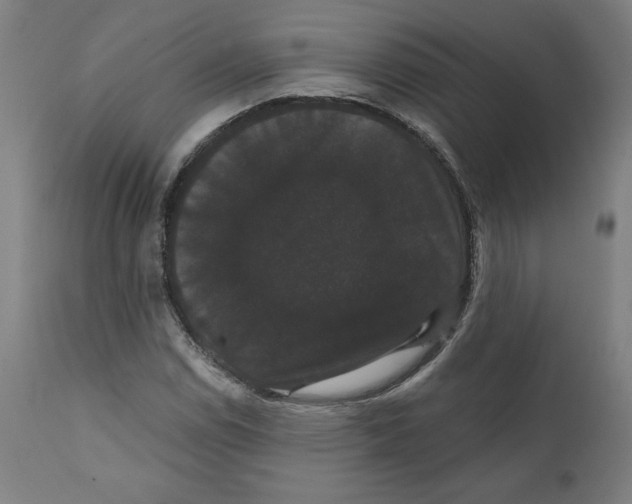 X0000111521114200908111156