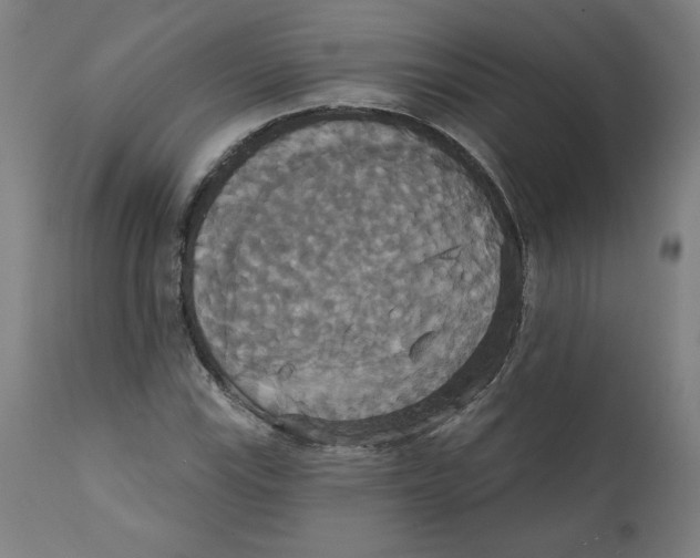 X0000111521115200908111156