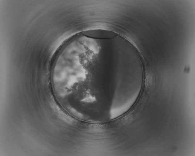 X0000111521116200908111156