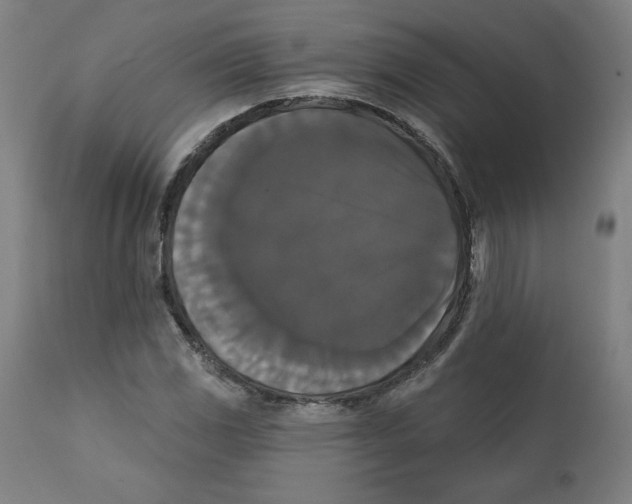 X0000111521117200908111156