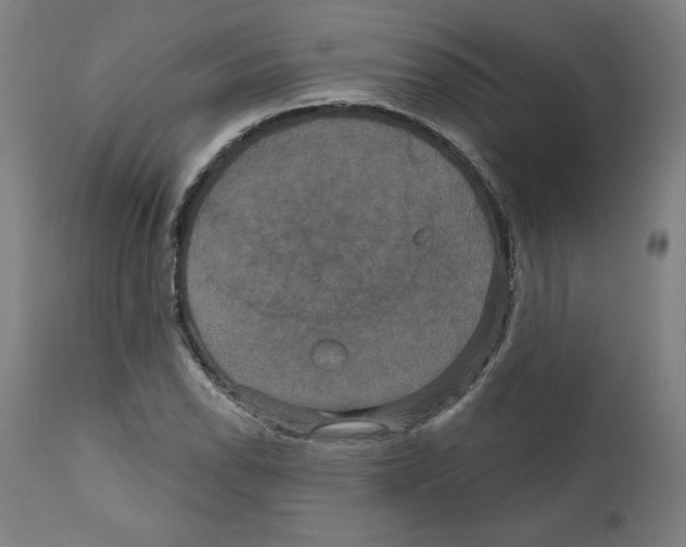 X0000111521118200908111156