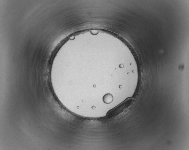 X0000111521119200908111156