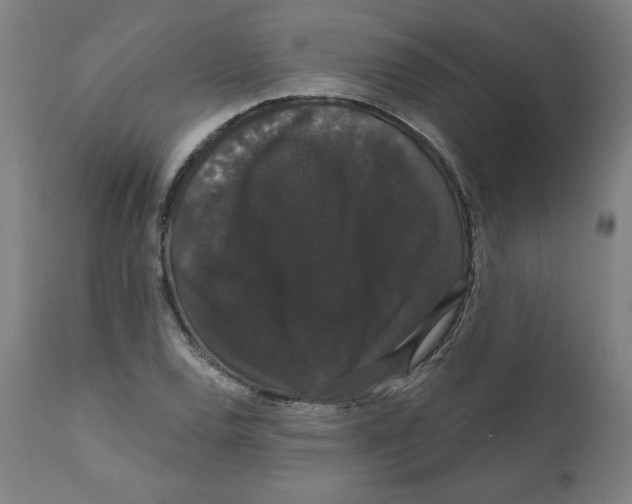X0000111521120200908111156