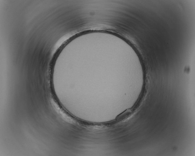 X0000111521122200908111156