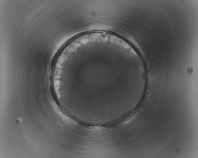 X0000111521124200908111156