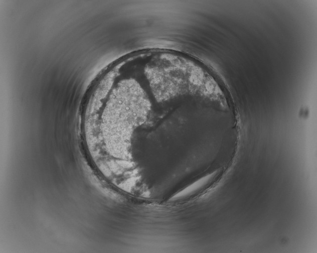 X0000111521125200908111156