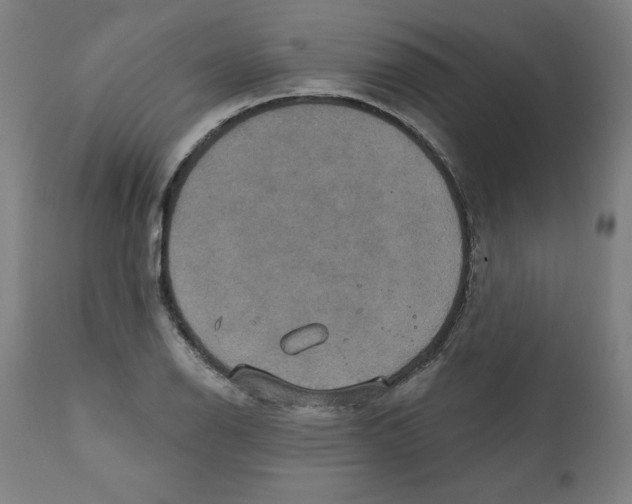 X0000111521126200908111156