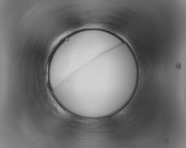 X0000111521127200908111156