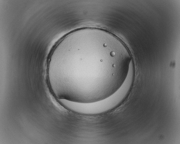 X0000111521128200908111156