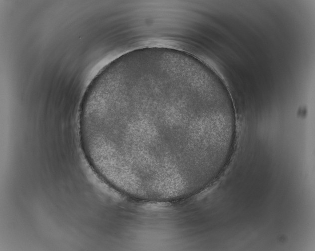 X0000111521133200908111156