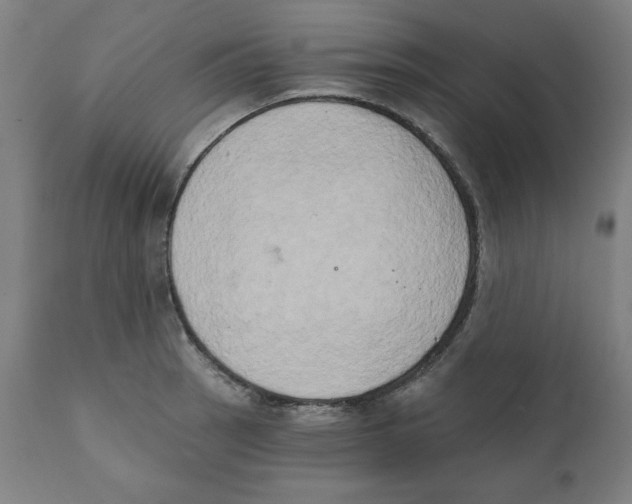 X0000111521137200908111156