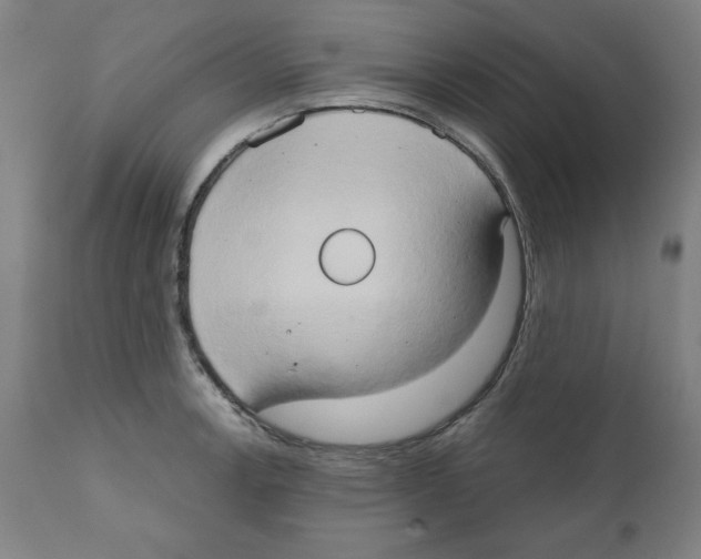 X0000111521138200908111156