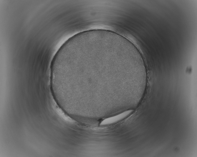 X0000111521140200908111156