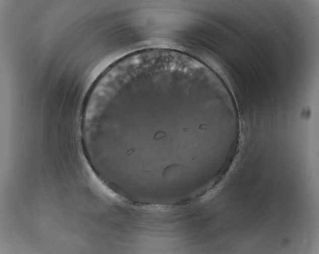 X0000111521141200908111156
