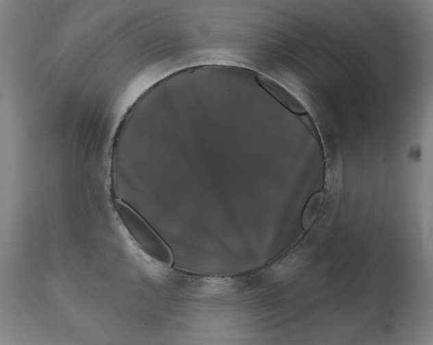 X0000111521144200908111156