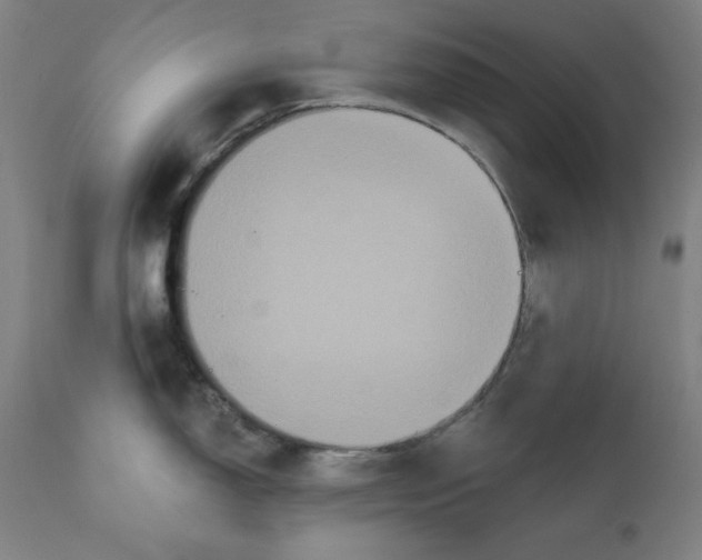 X0000111521150200908111156