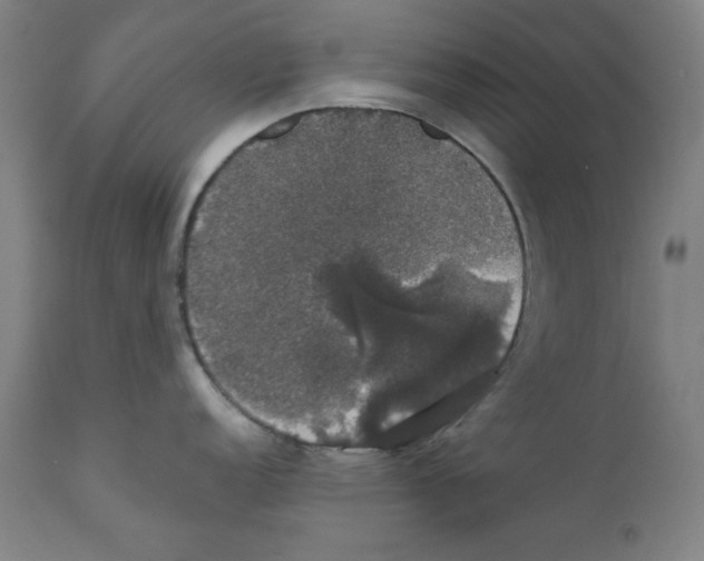 X0000111521152200908111156