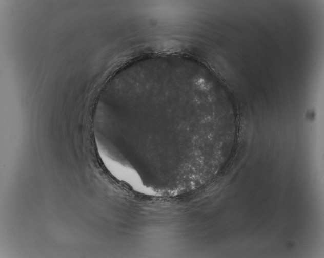 X0000111521153200908111155
